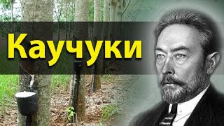Каучуки: бутадиеновый, изопреновый, хлоропреновый. ЕГЭ по химии