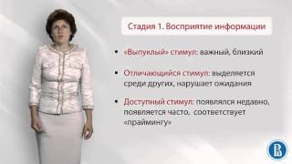 Социальная психология. Лекция 2.3. Стадии социального познания