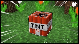 CEL MAI MIC SHOP DE TNT-URI DIN MINECRAFT!