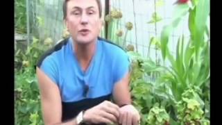 Смородина.Мастер класс. Марина Рыкалина и Виталий Декабрев.