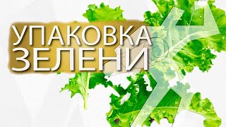 Упаковка зелени на Сервоприводной упаковочной машина ALD-600X-Servo3