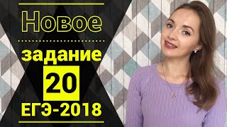 НОВОЕ задание №6 ЕГЭ по русскому языку [IrishU]