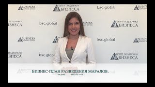 БИЗНЕС-ПЛАН РАЗВЕДЕНИЯ МАРАЛОВ