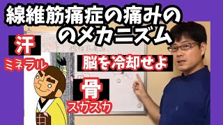 線維筋痛症の痛みのメカニズム