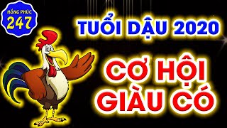 Tử Vi Chỉ Rõ, Tuổi Dậu 2020, Cơ Hội Bứt Phá Về Mặt Tiền Bạc Trong Tay, Nhưng Chú Ý Vài Thử Thách.