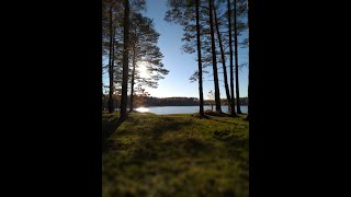 Инсульт. Восстановление речи. Поставновка звуков. Урок 18