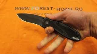 Нож Kershaw Blur складной сталь 14C28N (K1670BLK)