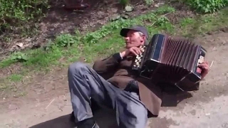 Касабланка на гармони / играй гармонь