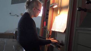 Gwendolyn Toth plays an Anonymous: O lux beata trinitas on the 1457 organ in Rysum, Germany