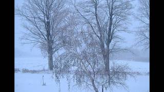 Mozart Piano Concerto NO. 20 in D Minor K.466 (on fortepiano)