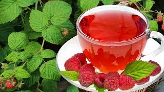 raspberry - Бесплатные переходы ProShow Producer с малиной