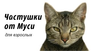 Частушки для взрослых.