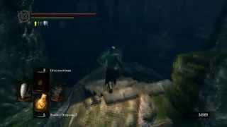 Фарм душ в Dark Souls [Сад темных корней]