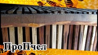 Как сохранить сушь от моли и прочей нечисти БЕЗ ЯДОВ!!!!!