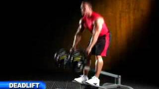 Powertec - Leverage T-Bar Row/Shrug