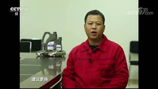 《生活提示》 20191117 落叶伤车 养护需注意| CCTV