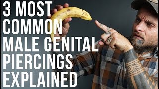 3 Most Common Male Genital Piercings Explained | UrbanBodyJewelry.com