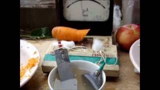 Живая вода из моркови