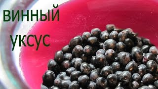 Винный уксус Рецепт приготовления уксуса из винограда  в домашних условиях Вкусный винный уксус