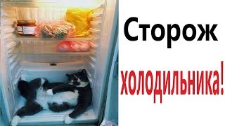 Лютые приколы. СТОРОЖ ХОЛОДИЛЬНИКА!!! Самое смешное видео! Засмеялся проиграл! - Domi Show!
