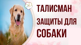 ТАЛИСМАН ЗАЩИТЫ В 2019 по знаку рождения СОБАКА| 5 (ПЯТЬ) Экслюзивных мастер классов в записи