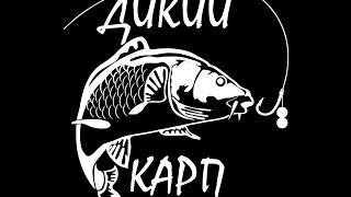 КРХ "Дикий карп"