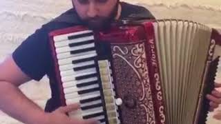 Цыган хорошо играет на Красивом Аккордеоне
