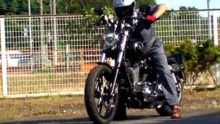 Harley Davidson FXDL 1580 DYNA Low Rider VANCE&HINES 1406230636 ｋ