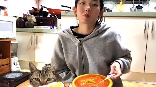 제주도 연탄, 아기고양이와 첫 만남, 일상