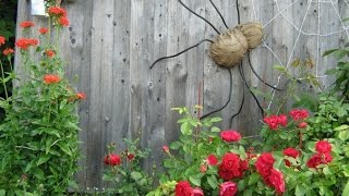 Как украсить сад пауком с паутиной! Идеи для дачи