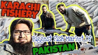 Karachi Fishery | Latest Rates | Fish | Prawn | Lobester
کراچی فشری | تازہ ترین صورتحال
卡拉奇渔业
