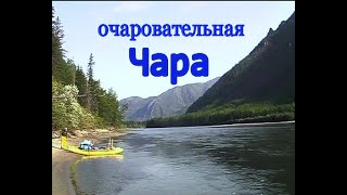 очаровательная Чара