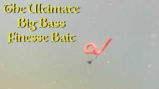 The Ultimate Big Bass Finesse Bait