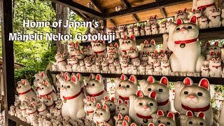 The famous temple of Gotokuji and its Maneki Neko (beckoning cats)