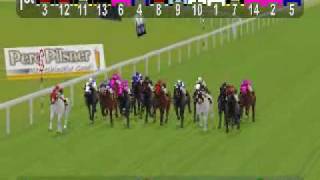 Raceclubs Virtual Horse Race