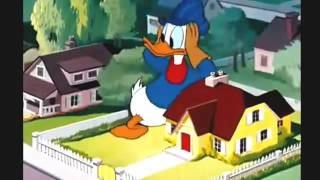 Donald Duck & Chip And Dale Cartoons NEW  English Full Episodes 2014