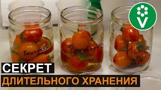 Как сохранить урожай свежих помидоров и огурцов до Нового года?