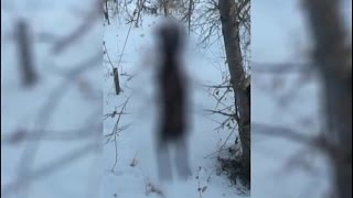 В Красноярске неизвестные повесили породистую собаку
