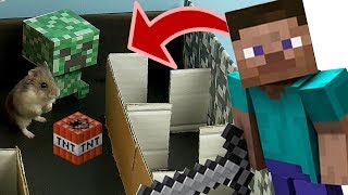 Minecraft ⚒️ I am building mazes for the hamster ? Hamster Race