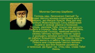 Это видео поможет многим! Алексей Тришма и святой Шарбель дарят Вам сеанс исцеления!