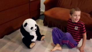 ВЛОГ Снимаем домашнее видео с плюшевой игрушкой ПАНДА Прикол Мистер Валентин