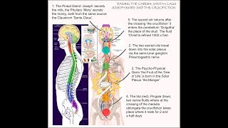 'The Holy Matrimony' SEX of Ascension vrs Sex of degeneration: Santos Bonacci