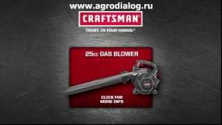 Садовый пылесос Craftsman 79477