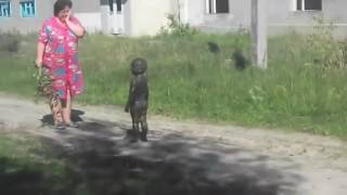 В деревне/Первый контакт с пришельцами