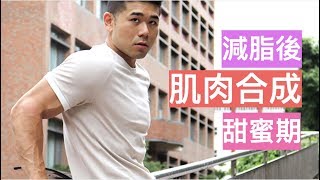 減脂後的增肌甜蜜期｜肌肉合成反彈｜八週體態改造 EP-12