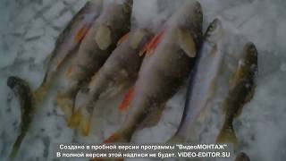 настоящая русская зимняя рыбалка!!