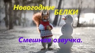 Новогодние БЕЛКИ смешная озвучка 2018 года.
