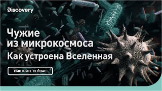 Чужие из микрокосмоса | Как устроена Вселенная | Discovery