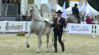 Спасская башня 2015.Andalusian horse.Андалузская лошадь.