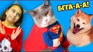 КОТЫ СУПЕР-ГЕРОИ! ЛУЧШИЙ НЕ ЗАСМЕЙСЯ ЧЕЛЛЕНДЖ с КОТАМИ! Попробуй не засмеяться Валеришка на психику
